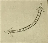 An illustration from The dress you wear and how to make it (1918)