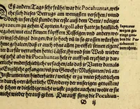 An illustration from Dreyzehente Schiffahrt darinnen ein Warhafftiger vnd Gründtlicher Bericht, von dem jtzigen Zustandt der Landtschafft Virginien; : auch wie nunmehr der Friede mit den Indianern beschlossen: vnd wie etliche Stätte vnd Vestunge alda zum Schutz des Landts von den Engelischen auffgebawet worden. Sampt einer Relation, wie König Powhatans in Virginien Tochter, Pocahuntas genant, Christlichen getaufft vnd mit einem Engelischen verheurahtet worden, sehr anmütig zu lesen, &c. (1617)
