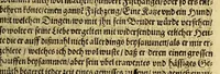 An illustration from Dreyzehente Schiffahrt darinnen ein Warhafftiger vnd Gründtlicher Bericht, von dem jtzigen Zustandt der Landtschafft Virginien; : auch wie nunmehr der Friede mit den Indianern beschlossen: vnd wie etliche Stätte vnd Vestunge alda zum Schutz des Landts von den Engelischen auffgebawet worden. Sampt einer Relation, wie König Powhatans in Virginien Tochter, Pocahuntas genant, Christlichen getaufft vnd mit einem Engelischen verheurahtet worden, sehr anmütig zu lesen, &c. (1617)