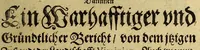 An illustration from Dreyzehente Schiffahrt darinnen ein Warhafftiger vnd Gründtlicher Bericht, von dem jtzigen Zustandt der Landtschafft Virginien; : auch wie nunmehr der Friede mit den Indianern beschlossen: vnd wie etliche Stätte vnd Vestunge alda zum Schutz des Landts von den Engelischen auffgebawet worden. Sampt einer Relation, wie König Powhatans in Virginien Tochter, Pocahuntas genant, Christlichen getaufft vnd mit einem Engelischen verheurahtet worden, sehr anmütig zu lesen, &c. (1617)
