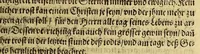 An illustration from Dreyzehente Schiffahrt darinnen ein Warhafftiger vnd Gründtlicher Bericht, von dem jtzigen Zustandt der Landtschafft Virginien; : auch wie nunmehr der Friede mit den Indianern beschlossen: vnd wie etliche Stätte vnd Vestunge alda zum Schutz des Landts von den Engelischen auffgebawet worden. Sampt einer Relation, wie König Powhatans in Virginien Tochter, Pocahuntas genant, Christlichen getaufft vnd mit einem Engelischen verheurahtet worden, sehr anmütig zu lesen, &c. (1617)