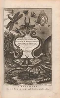 An illustration from Dr I. Ionstons beschrijving van de natuur der gekerfde of kronkel-dieren, slangen en draken. Neffens haer beeldenissen in oper gesneden. (1660)