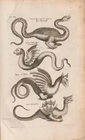 Picture 34 of 34 from Dr I. Ionstons beschrijving van de natuur der gekerfde of kronkel-dieren, slangen en draken. Neffens haer beeldenissen in oper gesneden. (1660), leaf 277