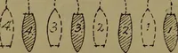 An illustration from Drill and code book of United States Power Squadrons (1916)