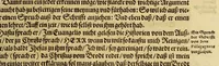 An illustration from Dritte Buch Americae, darinn Brasilia : durch Johann Staden von Homberg auss Hessen, auss eigener erfahrung in Teutsch beschrieben. Item Historia der Schiffart Ioannis Lerij in Brasilien, welche er selbst publiciert hat, jetzt von newem verteutscht, durch Teucrium Annaeum Priuatum, C. Vom Wildern vnerhörten wesen der Innwoner, von allerley frembden Gethieren vnd Gewächsen, sampt einem Colloquio, in der Wilden Sprach. (1593)