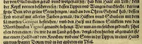 An illustration from Dritte Buch Americae, darinn Brasilia : durch Johann Staden von Homberg auss Hessen, auss eigener erfahrung in Teutsch beschrieben. Item Historia der Schiffart Ioannis Lerij in Brasilien, welche er selbst publiciert hat, jetzt von newem verteutscht, durch Teucrium Annaeum Priuatum, C. Vom Wildern vnerhörten wesen der Innwoner, von allerley frembden Gethieren vnd Gewächsen, sampt einem Colloquio, in der Wilden Sprach. (1593)
