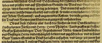 An illustration from Dritte Buch Americae, darinn Brasilia : durch Johann Staden von Homberg auss Hessen, auss eigener erfahrung in Teutsch beschrieben. Item Historia der Schiffart Ioannis Lerij in Brasilien, welche er selbst publiciert hat, jetzt von newem verteutscht, durch Teucrium Annaeum Priuatum, C. Vom Wildern vnerhörten wesen der Innwoner, von allerley frembden Gethieren vnd Gewächsen, sampt einem Colloquio, in der Wilden Sprach. (1593)