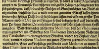An illustration from Dritte Buch Americae, darinn Brasilia : durch Johann Staden von Homberg auss Hessen, auss eigener erfahrung in Teutsch beschrieben. Item Historia der Schiffart Ioannis Lerij in Brasilien, welche er selbst publiciert hat, jetzt von newem verteutscht, durch Teucrium Annaeum Priuatum, C. Vom Wildern vnerhörten wesen der Innwoner, von allerley frembden Gethieren vnd Gewächsen, sampt einem Colloquio, in der Wilden Sprach. (1593)