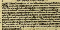 Picture 3 of 25 from Dritte Buch Americae, darinn Brasilia : durch Johann Staden von Homberg auss Hessen, auss eigener erfahrung in Teutsch beschrieben. Item Historia der Schiffart Ioannis Lerij in Brasilien, welche er selbst publiciert hat, jetzt von newem verteutscht, durch Teucrium Annaeum Priuatum, C. Vom Wildern vnerhörten wesen der Innwoner, von allerley frembden Gethieren vnd Gewächsen, sampt einem Colloquio, in der Wilden Sprach. (1593), leaf 32