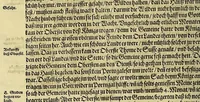 An illustration from Dritte Buch Americae, darinn Brasilia : durch Johann Staden von Homberg auss Hessen, auss eigener erfahrung in Teutsch beschrieben. Item Historia der Schiffart Ioannis Lerij in Brasilien, welche er selbst publiciert hat, jetzt von newem verteutscht, durch Teucrium Annaeum Priuatum, C. Vom Wildern vnerhörten wesen der Innwoner, von allerley frembden Gethieren vnd Gewächsen, sampt einem Colloquio, in der Wilden Sprach. (1593)