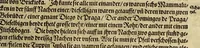 Picture 7 of 25 from Dritte Buch Americae, darinn Brasilia : durch Johann Staden von Homberg auss Hessen, auss eigener erfahrung in Teutsch beschrieben. Item Historia der Schiffart Ioannis Lerij in Brasilien, welche er selbst publiciert hat, jetzt von newem verteutscht, durch Teucrium Annaeum Priuatum, C. Vom Wildern vnerhörten wesen der Innwoner, von allerley frembden Gethieren vnd Gewächsen, sampt einem Colloquio, in der Wilden Sprach. (1593), leaf 81