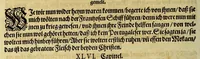 An illustration from Dritte Buch Americae, darinn Brasilia : durch Johann Staden von Homberg auss Hessen, auss eigener erfahrung in Teutsch beschrieben. Item Historia der Schiffart Ioannis Lerij in Brasilien, welche er selbst publiciert hat, jetzt von newem verteutscht, durch Teucrium Annaeum Priuatum, C. Vom Wildern vnerhörten wesen der Innwoner, von allerley frembden Gethieren vnd Gewächsen, sampt einem Colloquio, in der Wilden Sprach. (1593)