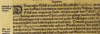 An illustration from Dritte Buch Americae, darinn Brasilia : durch Johann Staden von Homberg auss Hessen, auss eigener erfahrung in Teutsch beschrieben. Item Historia der Schiffart Ioannis Lerij in Brasilien, welche er selbst publiciert hat, jetzt von newem verteutscht, durch Teucrium Annaeum Priuatum, C. Vom Wildern vnerhörten wesen der Innwoner, von allerley frembden Gethieren vnd Gewächsen, sampt einem Colloquio, in der Wilden Sprach. (1593)