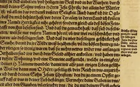 An illustration from Dritte Buch Americae, darinn Brasilia : durch Johann Staden von Homberg auss Hessen, auss eigener erfahrung in Teutsch beschrieben. Item Historia der Schiffart Ioannis Lerij in Brasilien, welche er selbst publiciert hat, jetzt von newem verteutscht, durch Teucrium Annaeum Priuatum, C. Vom Wildern vnerhörten wesen der Innwoner, von allerley frembden Gethieren vnd Gewächsen, sampt einem Colloquio, in der Wilden Sprach. (1593)