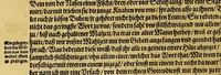 An illustration from Dritte Buch Americae, darinn Brasilia : durch Johann Staden von Homberg auss Hessen, auss eigener erfahrung in Teutsch beschrieben. Item Historia der Schiffart Ioannis Lerij in Brasilien, welche er selbst publiciert hat, jetzt von newem verteutscht, durch Teucrium Annaeum Priuatum, C. Vom Wildern vnerhörten wesen der Innwoner, von allerley frembden Gethieren vnd Gewächsen, sampt einem Colloquio, in der Wilden Sprach. (1593)