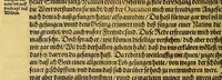 An illustration from Dritte Buch Americae, darinn Brasilia : durch Johann Staden von Homberg auss Hessen, auss eigener erfahrung in Teutsch beschrieben. Item Historia der Schiffart Ioannis Lerij in Brasilien, welche er selbst publiciert hat, jetzt von newem verteutscht, durch Teucrium Annaeum Priuatum, C. Vom Wildern vnerhörten wesen der Innwoner, von allerley frembden Gethieren vnd Gewächsen, sampt einem Colloquio, in der Wilden Sprach. (1593)
