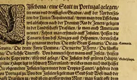 An illustration from Dritte Buch Americae, darinn Brasilia : durch Johann Staden von Homberg auss Hessen, auss eigener erfahrung in Teutsch beschrieben. Item Historia der Schiffart Ioannis Lerij in Brasilien, welche er selbst publiciert hat, jetzt von newem verteutscht, durch Teucrium Annaeum Priuatum, C. Vom Wildern vnerhörten wesen der Innwoner, von allerley frembden Gethieren vnd Gewächsen, sampt einem Colloquio, in der Wilden Sprach. (1593)