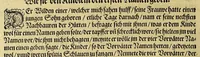 An illustration from Dritte Buch Americae, darinn Brasilia : durch Johann Staden von Homberg auss Hessen, auss eigener erfahrung in Teutsch beschrieben. Item Historia der Schiffart Ioannis Lerij in Brasilien, welche er selbst publiciert hat, jetzt von newem verteutscht, durch Teucrium Annaeum Priuatum, C. Vom Wildern vnerhörtem wesen der Innwoner, von allerley frembden Gethieren vnd Gewächsen, sampt einem Colloquio, in der Wilden Sprach. (1606)