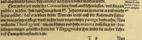 An illustration from Dritte Buch Americae, darinn Brasilia : durch Johann Staden von Homberg auss Hessen, auss eigener erfahrung in Teutsch beschrieben. Item Historia der Schiffart Ioannis Lerij in Brasilien, welche er selbst publiciert hat, jetzt von newem verteutscht, durch Teucrium Annaeum Priuatum, C. Vom Wildern vnerhörtem wesen der Innwoner, von allerley frembden Gethieren vnd Gewächsen, sampt einem Colloquio, in der Wilden Sprach. (1606)