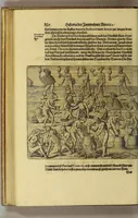 Picture 18 of 41 from Dritte Buch Americae, darinn Brasilia : durch Johann Staden von Homberg auss Hessen, auss eigener erfahrung in Teutsch beschrieben. Item Historia der Schiffart Ioannis Lerij in Brasilien, welche er selbst publiciert hat, jetzt von newem verteutscht, durch Teucrium Annaeum Priuatum, C. Vom Wildern vnerhörtem wesen der Innwoner, von allerley frembden Gethieren vnd Gewächsen, sampt einem Colloquio, in der Wilden Sprach. (1606), leaf 216