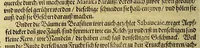 An illustration from Dritte Buch Americae, darinn Brasilia : durch Johann Staden von Homberg auss Hessen, auss eigener erfahrung in Teutsch beschrieben. Item Historia der Schiffart Ioannis Lerij in Brasilien, welche er selbst publiciert hat, jetzt von newem verteutscht, durch Teucrium Annaeum Priuatum, C. Vom Wildern vnerhörtem wesen der Innwoner, von allerley frembden Gethieren vnd Gewächsen, sampt einem Colloquio, in der Wilden Sprach. (1606)