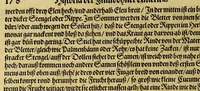 An illustration from Dritte Buch Americae, darinn Brasilia : durch Johann Staden von Homberg auss Hessen, auss eigener erfahrung in Teutsch beschrieben. Item Historia der Schiffart Ioannis Lerij in Brasilien, welche er selbst publiciert hat, jetzt von newem verteutscht, durch Teucrium Annaeum Priuatum, C. Vom Wildern vnerhörtem wesen der Innwoner, von allerley frembden Gethieren vnd Gewächsen, sampt einem Colloquio, in der Wilden Sprach. (1606)