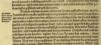 An illustration from Dritte Buch Americae, darinn Brasilia : durch Johann Staden von Homberg auss Hessen, auss eigener erfahrung in Teutsch beschrieben. Item Historia der Schiffart Ioannis Lerij in Brasilien, welche er selbst publiciert hat, jetzt von newem verteutscht, durch Teucrium Annaeum Priuatum, C. Vom Wildern vnerhörtem wesen der Innwoner, von allerley frembden Gethieren vnd Gewächsen, sampt einem Colloquio, in der Wilden Sprach. (1606)