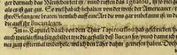 An illustration from Dritte Buch Americae, darinn Brasilia : durch Johann Staden von Homberg auss Hessen, auss eigener erfahrung in Teutsch beschrieben. Item Historia der Schiffart Ioannis Lerij in Brasilien, welche er selbst publiciert hat, jetzt von newem verteutscht, durch Teucrium Annaeum Priuatum, C. Vom Wildern vnerhörtem wesen der Innwoner, von allerley frembden Gethieren vnd Gewächsen, sampt einem Colloquio, in der Wilden Sprach. (1606)