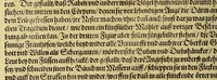 An illustration from Dritte Buch Americae, darinn Brasilia : durch Johann Staden von Homberg auss Hessen, auss eigener erfahrung in Teutsch beschrieben. Item Historia der Schiffart Ioannis Lerij in Brasilien, welche er selbst publiciert hat, jetzt von newem verteutscht, durch Teucrium Annaeum Priuatum, C. Vom Wildern vnerhörtem wesen der Innwoner, von allerley frembden Gethieren vnd Gewächsen, sampt einem Colloquio, in der Wilden Sprach. (1606)