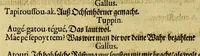 Picture 28 of 41 from Dritte Buch Americae, darinn Brasilia : durch Johann Staden von Homberg auss Hessen, auss eigener erfahrung in Teutsch beschrieben. Item Historia der Schiffart Ioannis Lerij in Brasilien, welche er selbst publiciert hat, jetzt von newem verteutscht, durch Teucrium Annaeum Priuatum, C. Vom Wildern vnerhörtem wesen der Innwoner, von allerley frembden Gethieren vnd Gewächsen, sampt einem Colloquio, in der Wilden Sprach. (1606), leaf 318