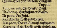 An illustration from Dritte Buch Americae, darinn Brasilia : durch Johann Staden von Homberg auss Hessen, auss eigener erfahrung in Teutsch beschrieben. Item Historia der Schiffart Ioannis Lerij in Brasilien, welche er selbst publiciert hat, jetzt von newem verteutscht, durch Teucrium Annaeum Priuatum, C. Vom Wildern vnerhörtem wesen der Innwoner, von allerley frembden Gethieren vnd Gewächsen, sampt einem Colloquio, in der Wilden Sprach. (1606)