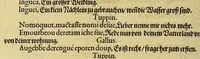 Picture 30 of 41 from Dritte Buch Americae, darinn Brasilia : durch Johann Staden von Homberg auss Hessen, auss eigener erfahrung in Teutsch beschrieben. Item Historia der Schiffart Ioannis Lerij in Brasilien, welche er selbst publiciert hat, jetzt von newem verteutscht, durch Teucrium Annaeum Priuatum, C. Vom Wildern vnerhörtem wesen der Innwoner, von allerley frembden Gethieren vnd Gewächsen, sampt einem Colloquio, in der Wilden Sprach. (1606), leaf 326