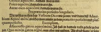 An illustration from Dritte Buch Americae, darinn Brasilia : durch Johann Staden von Homberg auss Hessen, auss eigener erfahrung in Teutsch beschrieben. Item Historia der Schiffart Ioannis Lerij in Brasilien, welche er selbst publiciert hat, jetzt von newem verteutscht, durch Teucrium Annaeum Priuatum, C. Vom Wildern vnerhörtem wesen der Innwoner, von allerley frembden Gethieren vnd Gewächsen, sampt einem Colloquio, in der Wilden Sprach. (1606)