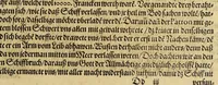 An illustration from Dritte Buch Americae, darinn Brasilia : durch Johann Staden von Homberg auss Hessen, auss eigener erfahrung in Teutsch beschrieben. Item Historia der Schiffart Ioannis Lerij in Brasilien, welche er selbst publiciert hat, jetzt von newem verteutscht, durch Teucrium Annaeum Priuatum, C. Vom Wildern vnerhörtem wesen der Innwoner, von allerley frembden Gethieren vnd Gewächsen, sampt einem Colloquio, in der Wilden Sprach. (1606)