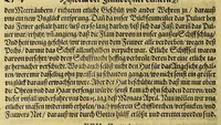 An illustration from Dritte Buch Americae, darinn Brasilia : durch Johann Staden von Homberg auss Hessen, auss eigener erfahrung in Teutsch beschrieben. Item Historia der Schiffart Ioannis Lerij in Brasilien, welche er selbst publiciert hat, jetzt von newem verteutscht, durch Teucrium Annaeum Priuatum, C. Vom Wildern vnerhörtem wesen der Innwoner, von allerley frembden Gethieren vnd Gewächsen, sampt einem Colloquio, in der Wilden Sprach. (1606)