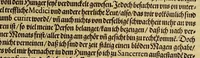 An illustration from Dritte Buch Americae, darinn Brasilia : durch Johann Staden von Homberg auss Hessen, auss eigener erfahrung in Teutsch beschrieben. Item Historia der Schiffart Ioannis Lerij in Brasilien, welche er selbst publiciert hat, jetzt von newem verteutscht, durch Teucrium Annaeum Priuatum, C. Vom Wildern vnerhörtem wesen der Innwoner, von allerley frembden Gethieren vnd Gewächsen, sampt einem Colloquio, in der Wilden Sprach. (1606)