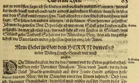 An illustration from Dritte Buch Americae, darinn Brasilia : durch Johann Staden von Homberg auss Hessen, auss eigener erfahrung in Teutsch beschrieben. Item Historia der Schiffart Ioannis Lerij in Brasilien, welche er selbst publiciert hat, jetzt von newem verteutscht, durch Teucrium Annaeum Priuatum, C. Vom Wildern vnerhörtem wesen der Innwoner, von allerley frembden Gethieren vnd Gewächsen, sampt einem Colloquio, in der Wilden Sprach. (1606)