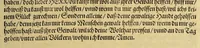 An illustration from Dritte Buch Americae, darinn Brasilia : durch Johann Staden von Homberg auss Hessen, auss eigener erfahrung in Teutsch beschrieben. Item Historia der Schiffart Ioannis Lerij in Brasilien, welche er selbst publiciert hat, jetzt von newem verteutscht, durch Teucrium Annaeum Priuatum, C. Vom Wildern vnerhörtem wesen der Innwoner, von allerley frembden Gethieren vnd Gewächsen, sampt einem Colloquio, in der Wilden Sprach. (1606)