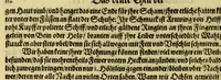 An illustration from Dritter Theil Indiae Orientalis, darinnen erstlich das ander Theil der Schifffahrten Johann Huygens von Lintschotten auss Holland, so er in Orient gethan, begriffen, vnd fürnemlich alle Gelegenheit derselbigen Landen, Insulen, Meerpforten, &c. so vnterwegen auffstossen, vnd dann in India fürkommen, wie auch alles, was der Author allda im Land, vnd nachmals auff seiner Widerreyse nach Holland gesehen vnd erfahren, eygendlich beschrieben wirt. : II. Der Holländer Schifffahrt in die Orientalische Insulen, Javan vnd Sumatra, sampt Sitten, Leben vnd Superstition, &c. der Völcker. III. Drey Schifffahrten der Holländer nach obermelten Indien, durch das Mittnächtige oder Eiss Meer, darinnen viel vnerhörte Abenthewr. Alles auffs trewlichst von neuwem auss den Niderländischen Exemplarien in Hochteutsch bracht, vnd in guter Disposition zusammen gefügt. (1616)