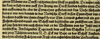 Picture 15 of 30 from Dritter Theil Indiae Orientalis, darinnen erstlich das ander Theil der Schifffahrten Johann Huygens von Lintschotten auss Holland, so er in Orient gethan, begriffen, vnd fürnemlich alle Gelegenheit derselbigen Landen, Insulen, Meerpforten, &c. so vnterwegen auffstossen, vnd dann in India fürkommen, wie auch alles, was der Author allda im Land, vnd nachmals auff seiner Widerreyse nach Holland gesehen vnd erfahren, eygendlich beschrieben wirt. : II. Der Holländer Schifffahrt in die Orientalische Insulen, Javan vnd Sumatra, sampt Sitten, Leben vnd Superstition, &c. der Völcker. III. Drey Schifffahrten der Holländer nach obermelten Indien, durch das Mittnächtige oder Eiss Meer, darinnen viel vnerhörte Abenthewr. Alles auffs trewlichst von neuwem auss den Niderländischen Exemplarien in Hochteutsch bracht, vnd in guter Disposition zusammen gefügt. (1616), leaf 134