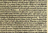 An illustration from Dritter Theil Indiae Orientalis, darinnen erstlich das ander Theil der Schifffahrten Johann Huygens von Lintschotten auss Holland, so er in Orient gethan, begriffen, vnd fürnemlich alle Gelegenheit derselbigen Landen, Insulen, Meerpforten, &c. so vnterwegen auffstossen, vnd dann in India fürkommen, wie auch alles, was der Author allda im Land, vnd nachmals auff seiner Widerreyse nach Holland gesehen vnd erfahren, eygendlich beschrieben wirt. : II. Der Holländer Schifffahrt in die Orientalische Insulen, Javan vnd Sumatra, sampt Sitten, Leben vnd Superstition, &c. der Völcker. III. Drey Schifffahrten der Holländer nach obermelten Indien, durch das Mittnächtige oder Eiss Meer, darinnen viel vnerhörte Abenthewr. Alles auffs trewlichst von neuwem auss den Niderländischen Exemplarien in Hochteutsch bracht, vnd in guter Disposition zusammen gefügt. (1616)