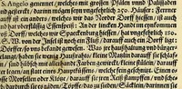 Picture 3 of 13 from Dritter Theil Indiae Orientalis, darinnen erstlich das ander Theil der Schifffahrten Joann Huygens von Lintschotten auss Hollandt, so er in Orient gethan, begriffen, vnd fürnemlich alle gelegenheit derselbigen Landen, Insulen, Meerpforten, &c. so vnterwegen auffstossen, vnd dann in India fürkommen, wie auch alles, was der Author allda im Landt, vnd nachmals auff seiner Widerreyse nach Hollandt gesehen vnd erfahren, eygentlich beschrieben wirdt. : II. Der Holländer Schifffahrt in die Orientalische Insulen, Iauan vnd Sumatra, sampt Sitten, Leben vnd Superstition, &c. der Völcker. III. Drey Schifffahrten der Holländer nach obermeldten Indien, durch das Mittnächtigsche oder Eissmeer, darinnen viel vnerhörte Ebentewer. Alles auffs trewlichst von neuwem auss den Niderländischen Exemplarien in Hochteutsch Bracht, vnd in guter Disposition zusammen gefügt. Sampt vielen schönen künstlichen Figurn, vnd Landtafeln, in Kupffer gestochen, vnd an Tag geben, durch Io. Theodor vnd. Io. Israel de Bry, Gebrüder (1599), leaf 145