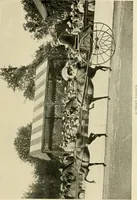 An illustration from Driving (1903)