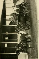 An illustration from Driving (1903)