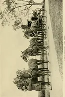 An illustration from Driving (1903)