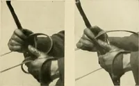 An illustration from Driving (1903)