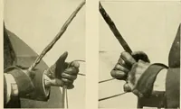 An illustration from Driving (1903)