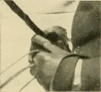An illustration from Driving (1903)