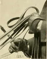An illustration from Driving (1903)