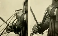 An illustration from Driving (1903)